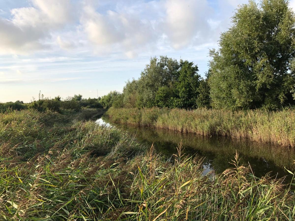 Westkapelle Comfortabele Strandkamer Aan De Kreek Exteriör bild
